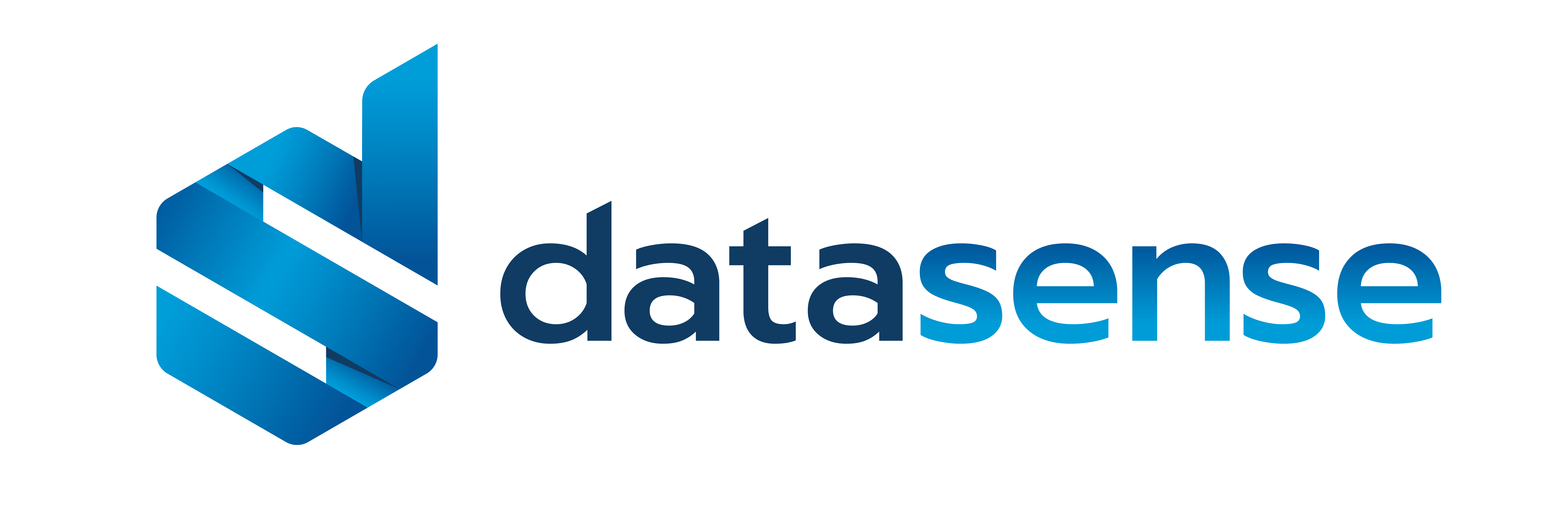 Data Sense Logo naam rechts blauw cropped
