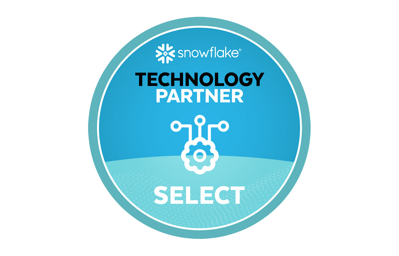 Snowflake partner logo rectangle
